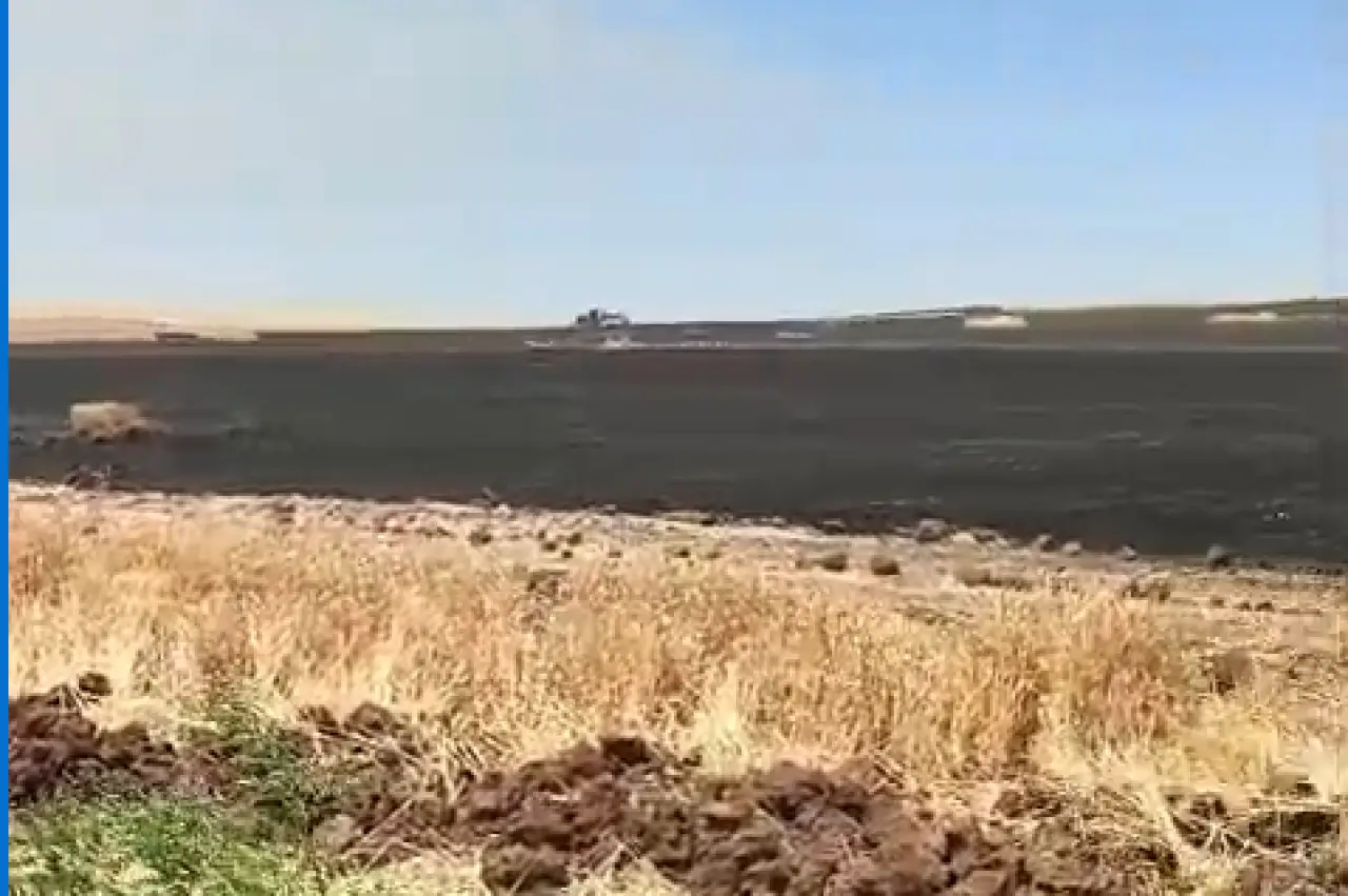 Ekili buğday tarlasında yangın çıktı; 800 dönüm alan zarar gördü