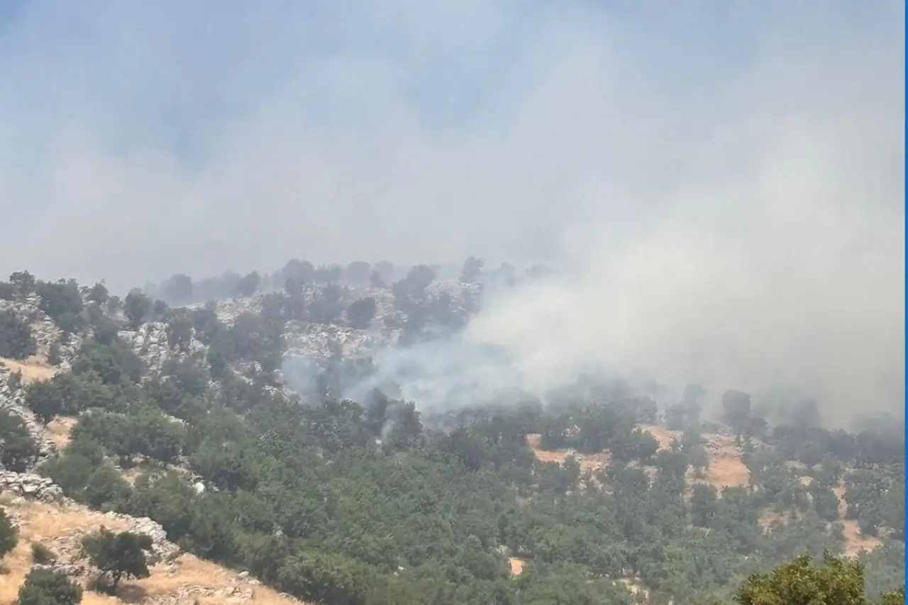 Diyarbakır'da örtü yangını