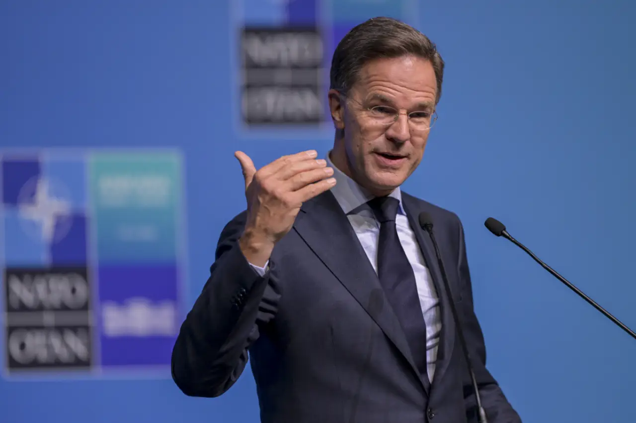 Rutte'ye Deniz Göktaş soruldu: Demokrasi seçimden çok daha fazlasıdır