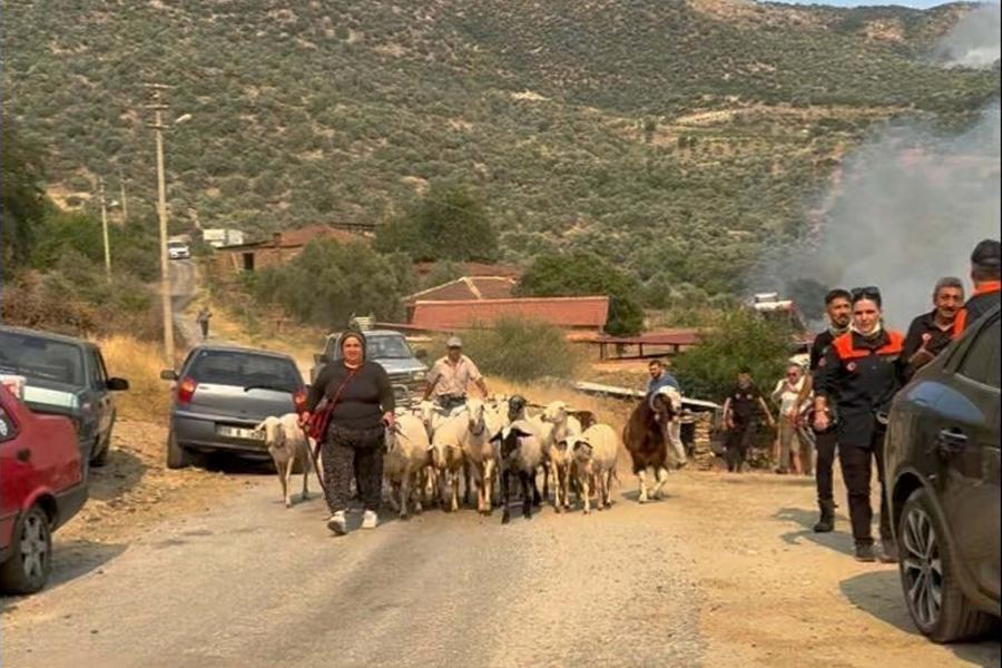 Aydın'da tarım arazisinde yangın: 2 mahalle tahliye ediliyor