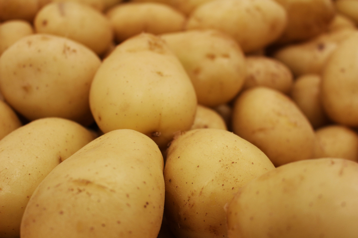 Patates neden yasakladı