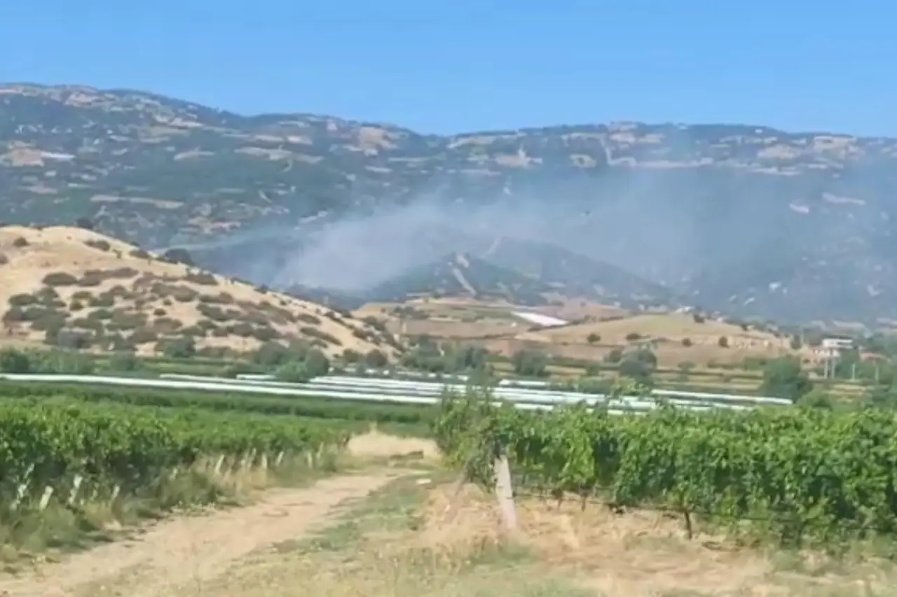 Manisa’da korkutan yangın: Rüzgarın etkisiyle ormana sıçradı