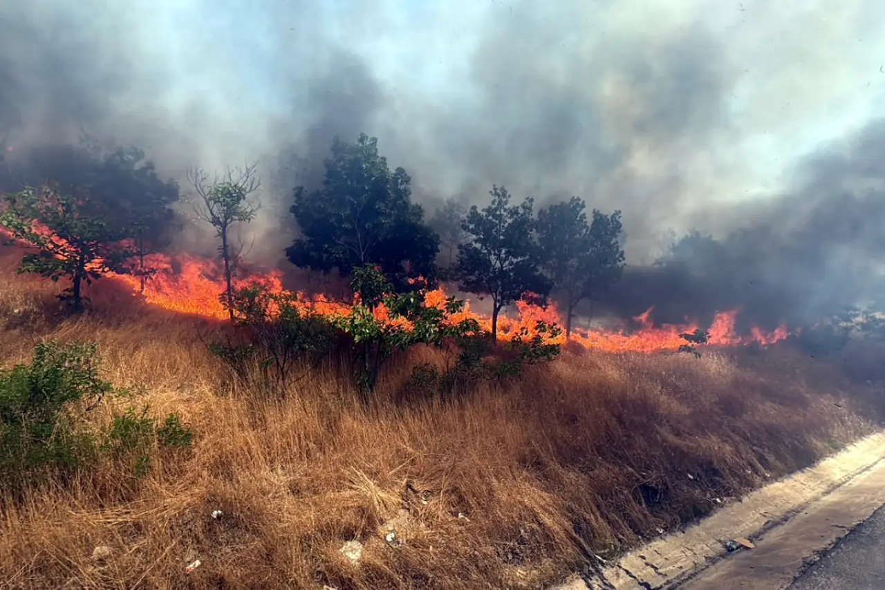 Tekirdağ'da yangın: 20 dekar buğday ekili alan zarar gördü