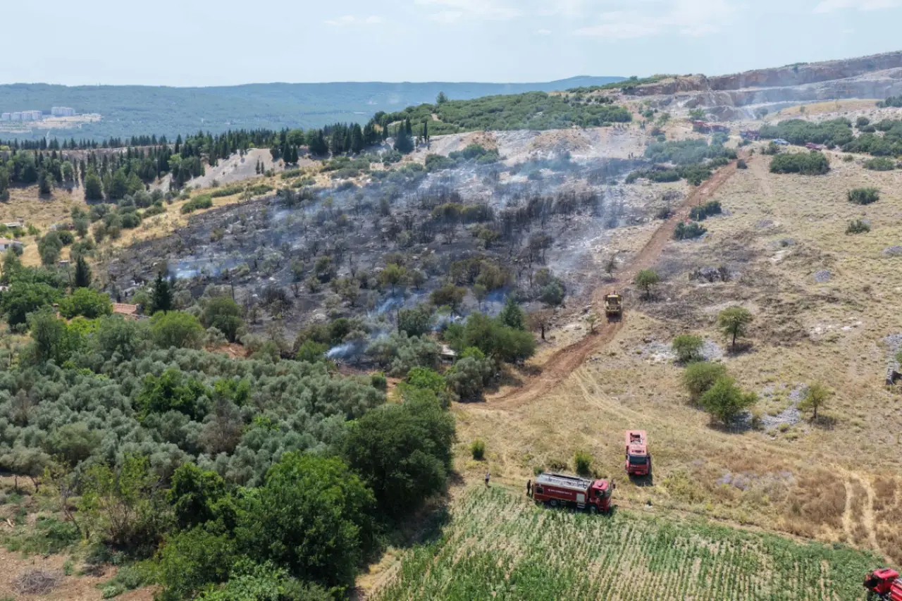 Muğla'da maki yangını çıktı