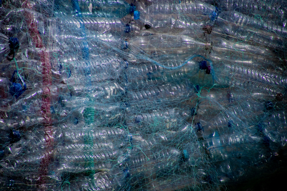 Plastik şişeler kimin için toplanıyor?