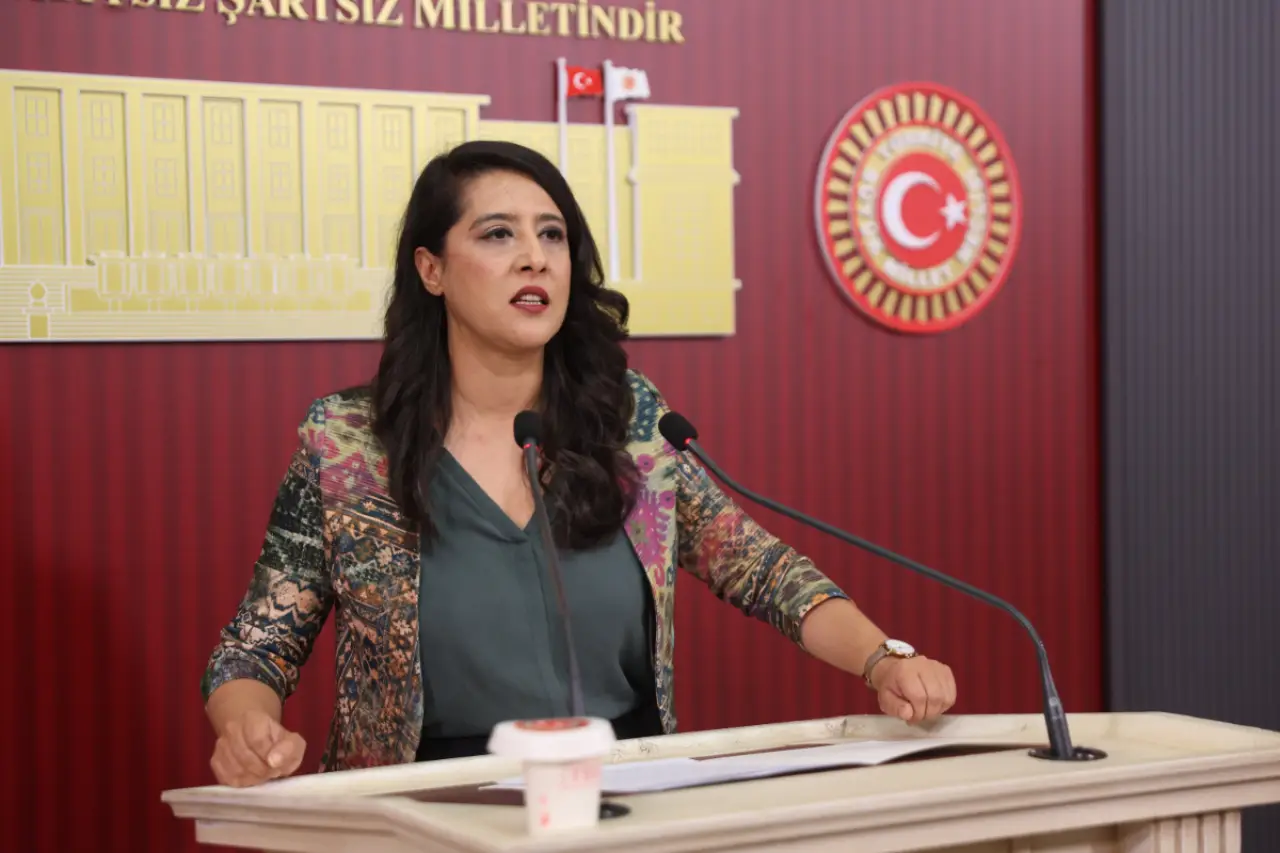EMEP'li Karaca: Torba yasalar patronlara teşvik, emekçilere hak kaybı getiriyor