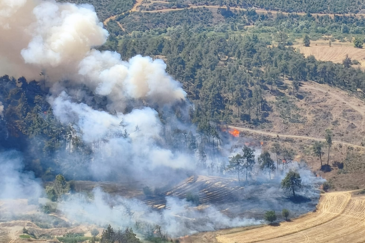 Bursa'da orman yangını: Alevlere havadan ve karadan müdahale ediliyor