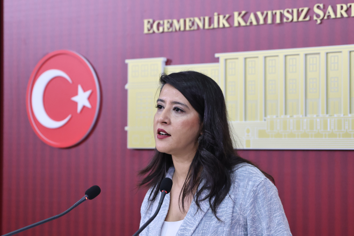 EMEP Milletvekili Sevda Karaca: 'Çocuklar hapishanelerle değil haklarla büyümeli'