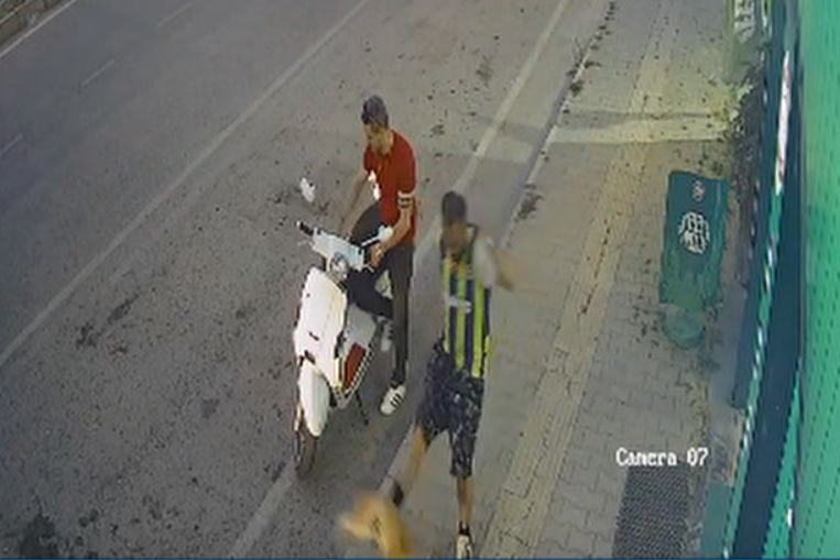Samsun'da kediye tekme atan erkek gözaltına alındı