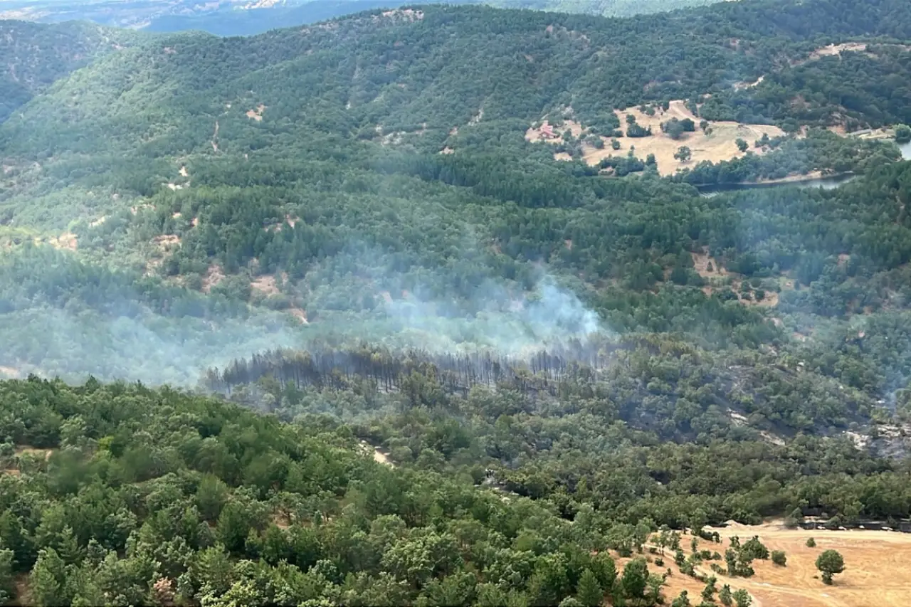 Kütahya'da orman yangını