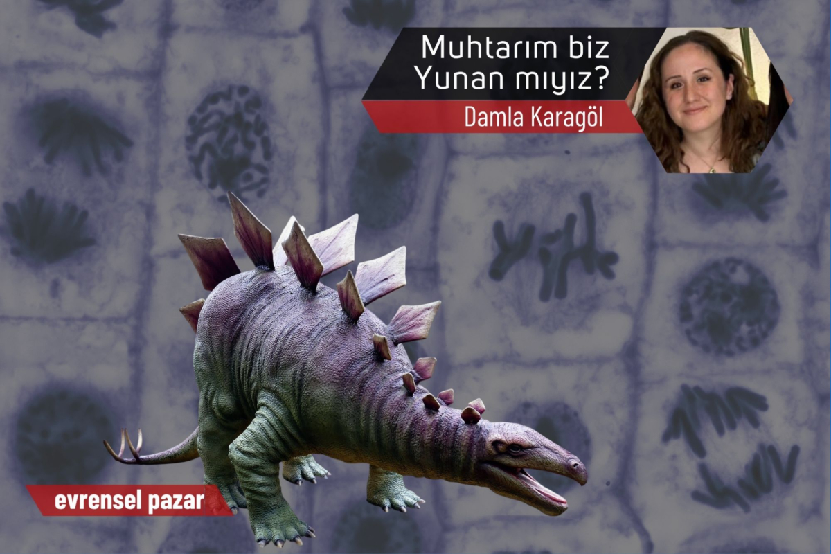 Genetik ve etnisite üzerine 1: Muhtarım biz Yunan mıyız?