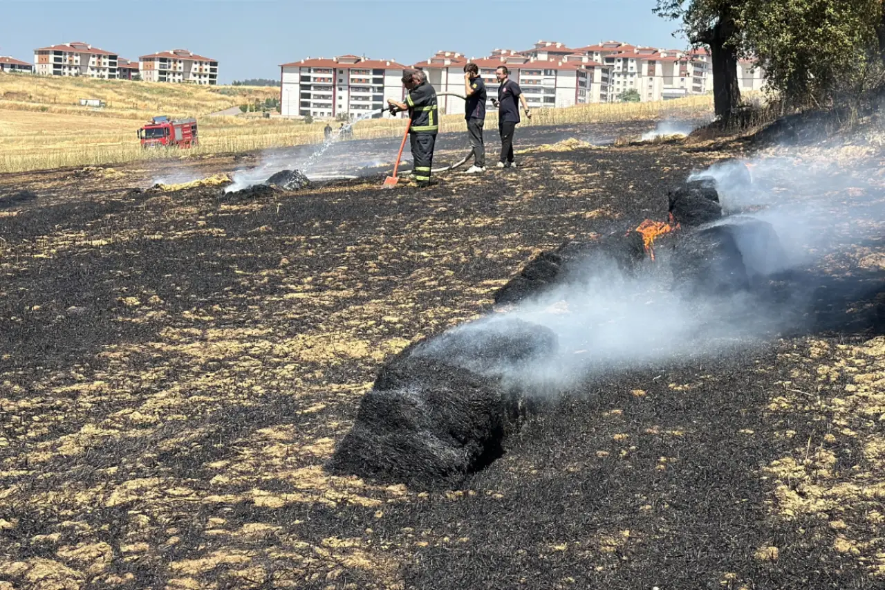 Karabük'te anız yangını: 25 dönüm zarar gördü