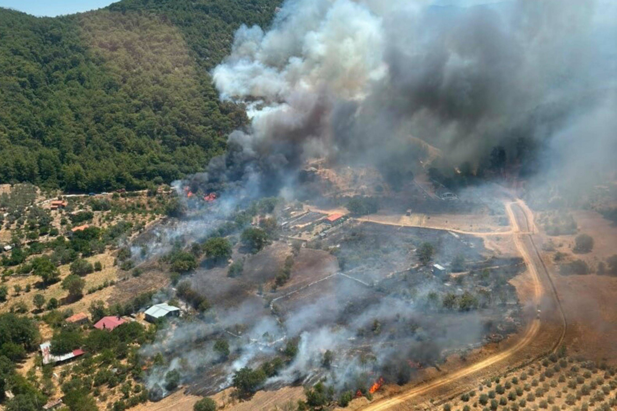 Muğla, Aydın, Antalya: 3 ilde orman yangını