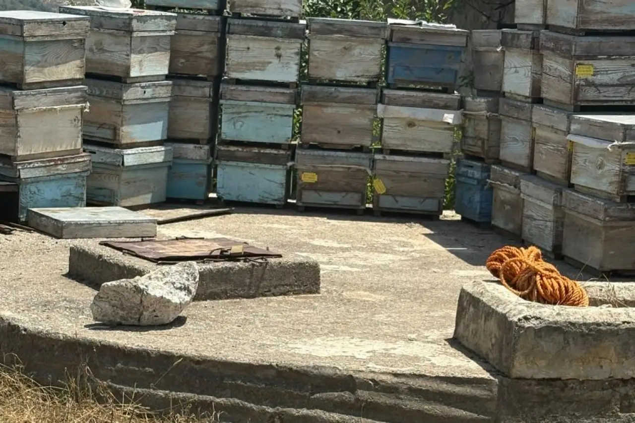 Mersin'de şüpheli kadın ölümü: Kuyuda cansız bedeni bulundu