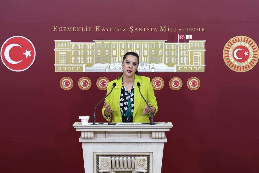 EMEP'li Sevda Karaca: Akdeniz'deki mikroplastik kirliliği halk sağlığı sorunudur
