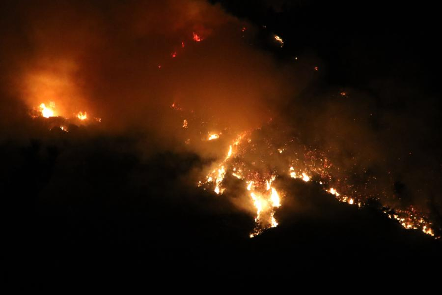 Antalya'nın Kaş ilçesinde orman yangını: Karadan müdahale gece saatlerinde de devam ediyor