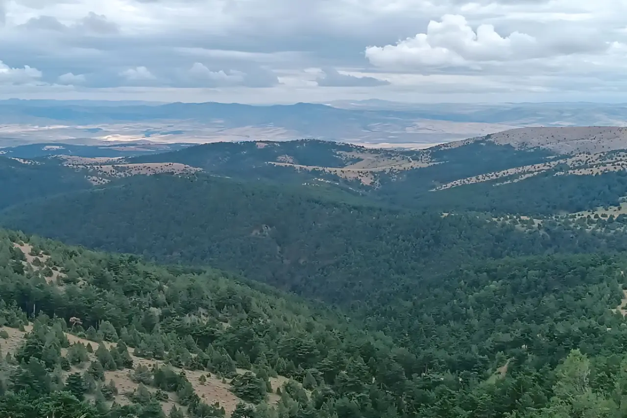 Yeni Parti Milletvekili Karasu: “Sivas'ın doğası ranta kurban edilemez”