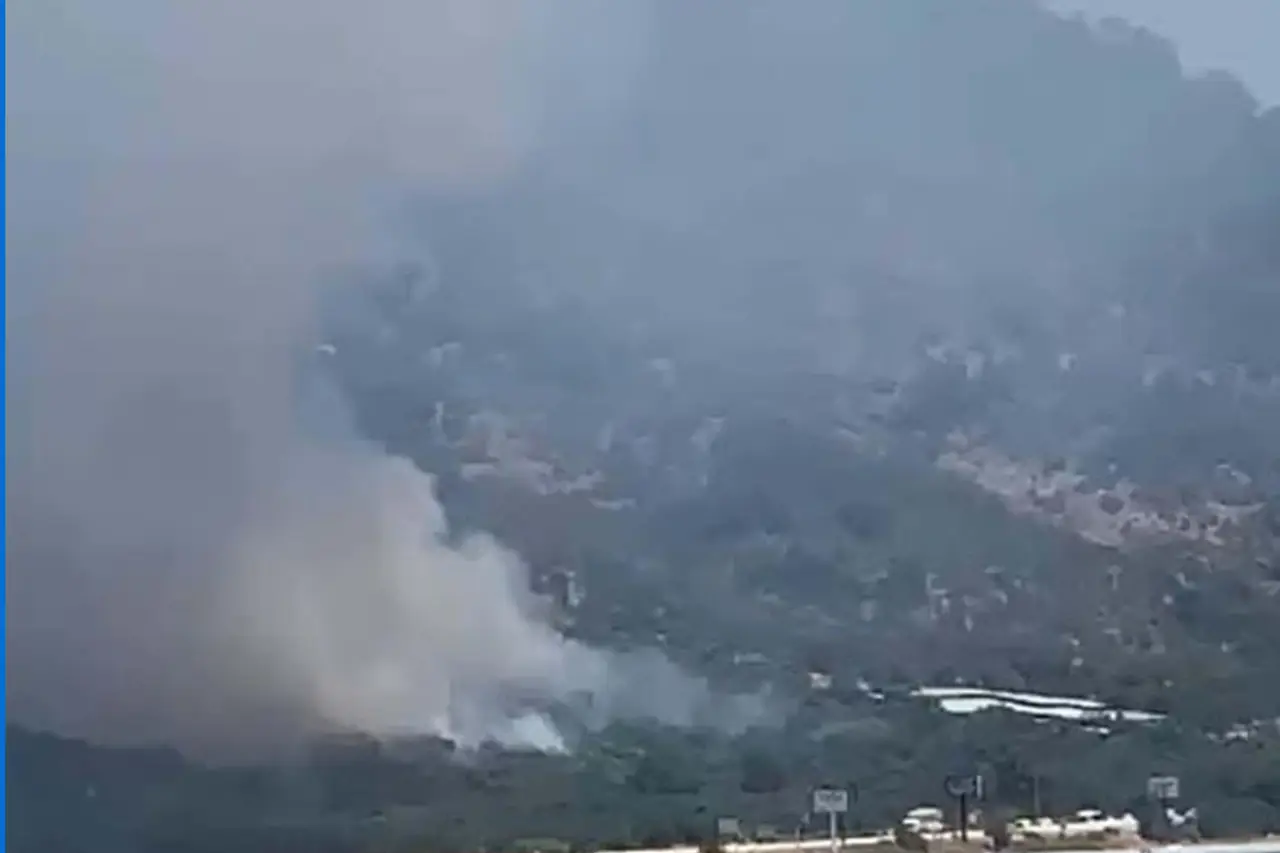 Balıkesir'de orman yangını