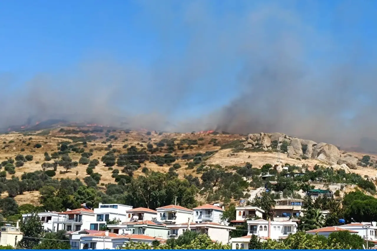 Foça'da maki yangını