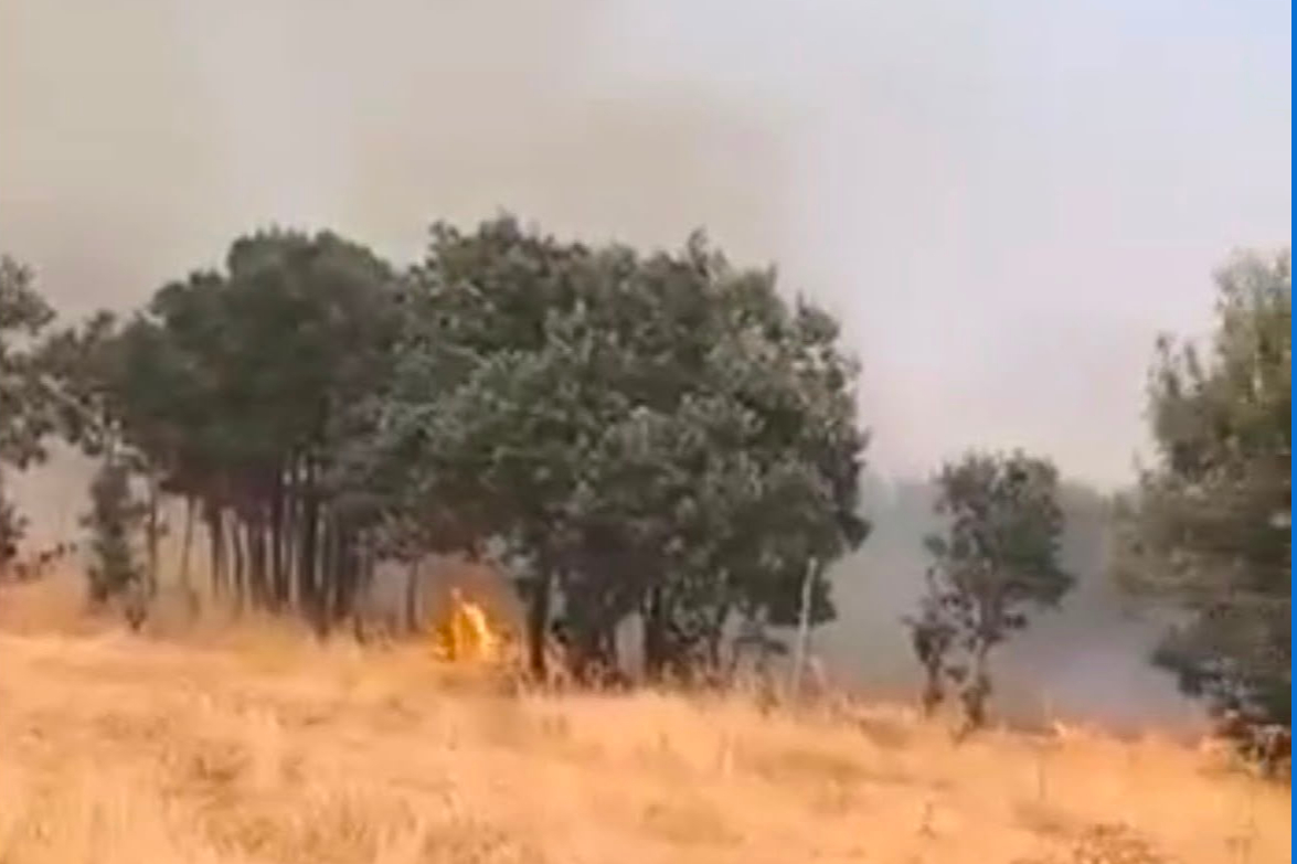 Diyarbakır Lice kırsalında örtü yangını