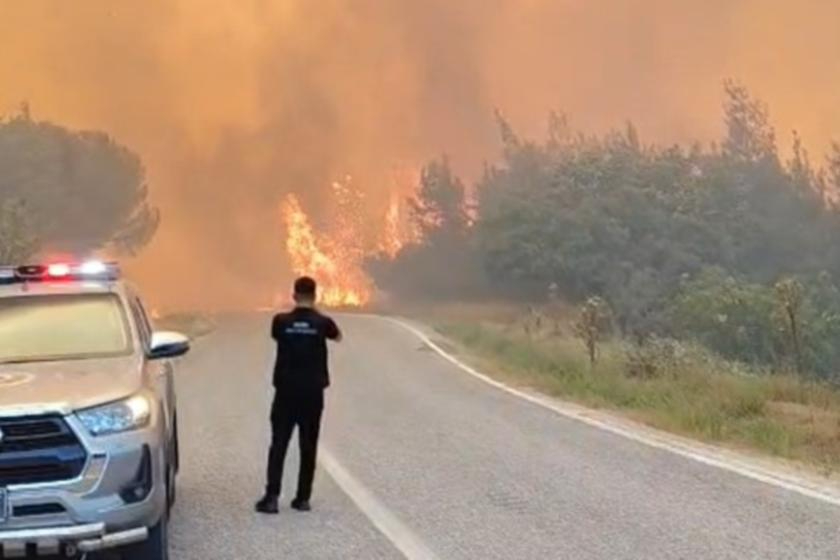 Balıkesir Susurluk'ta orman yangını: Alevler yerleşim yerlerine yaklaşıyor