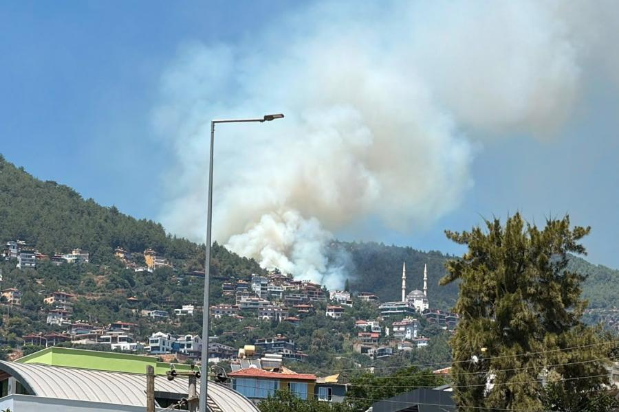 Antalya'nın Alanya ilçesinde ormanlık alanda yangın çıktı