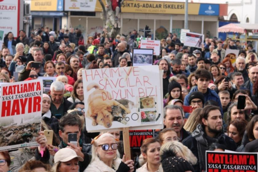 Hayvan katliamı yasasının ikinci yılı: Yaşam hakları savunucular Kadıköy’de buluşacak