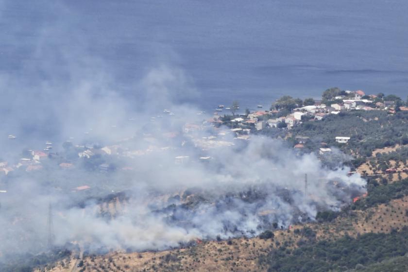 Balıkesir'in Erdek ilçesinde makilik ve zeytinlik alanda yangın