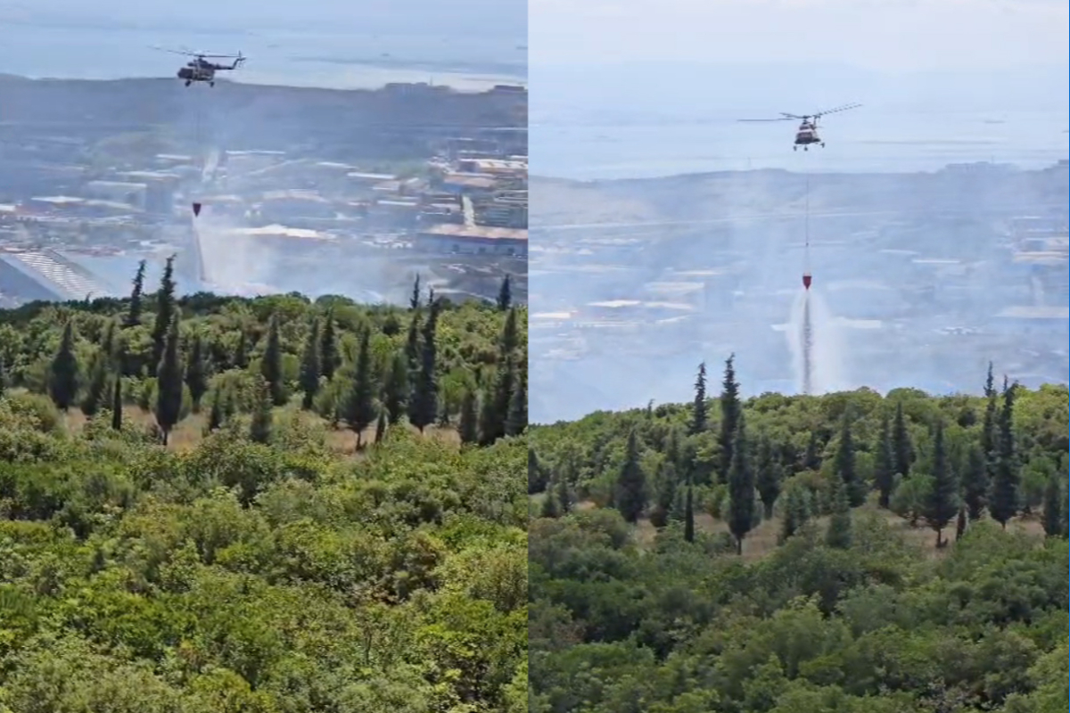Makine İhtisas OSB’nin yakınında: Kocaeli’de orman yangını