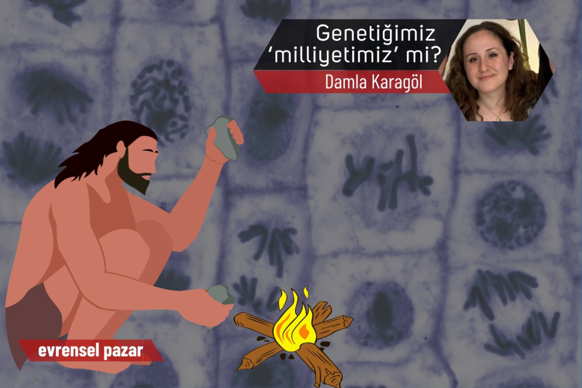 Genetik ve etnisite üzerine - 2: DNA’mız ‘milliyet’imiz midir?
