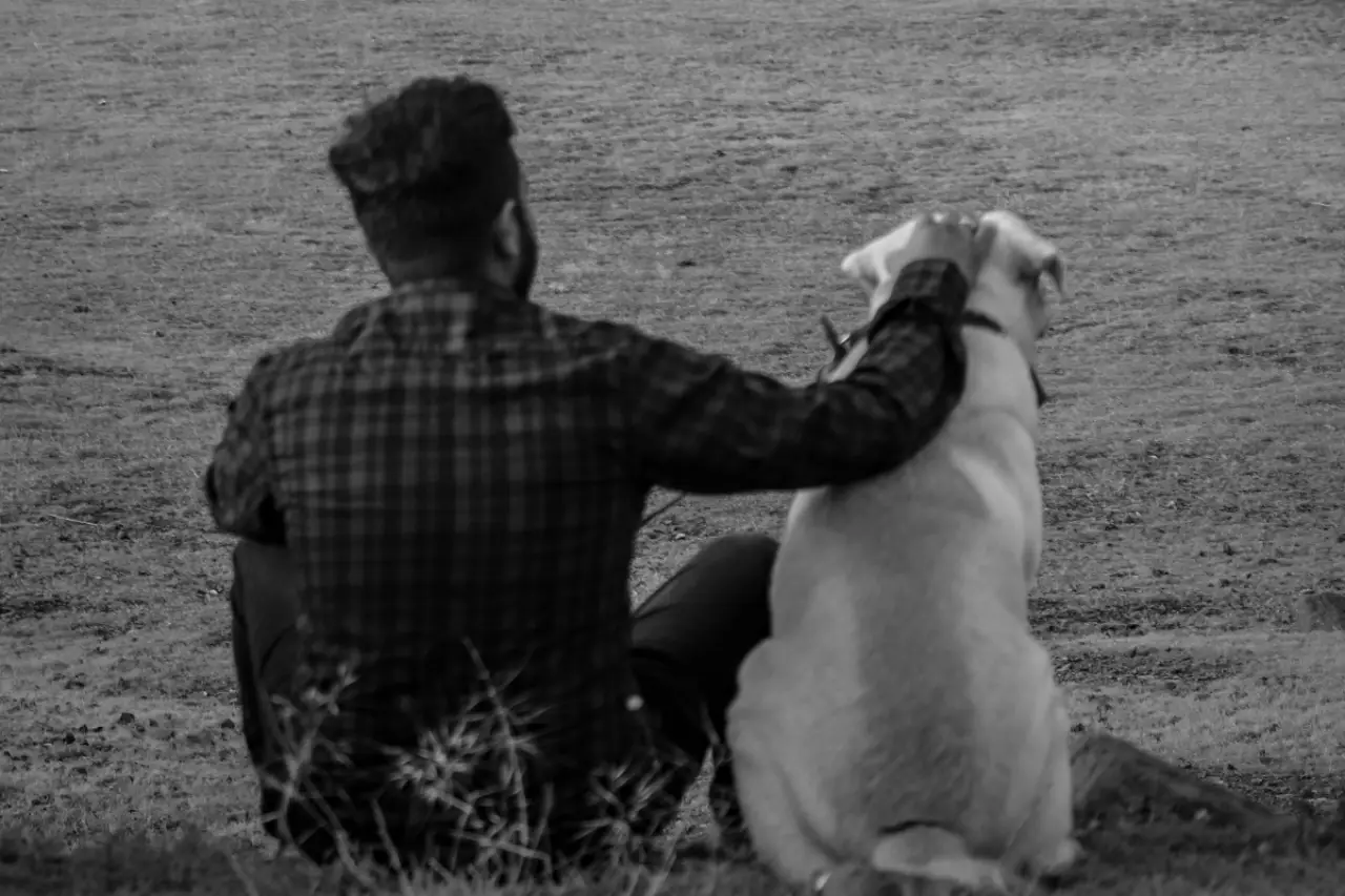 Köpek sahibi olmak ömrü uzatır mı?