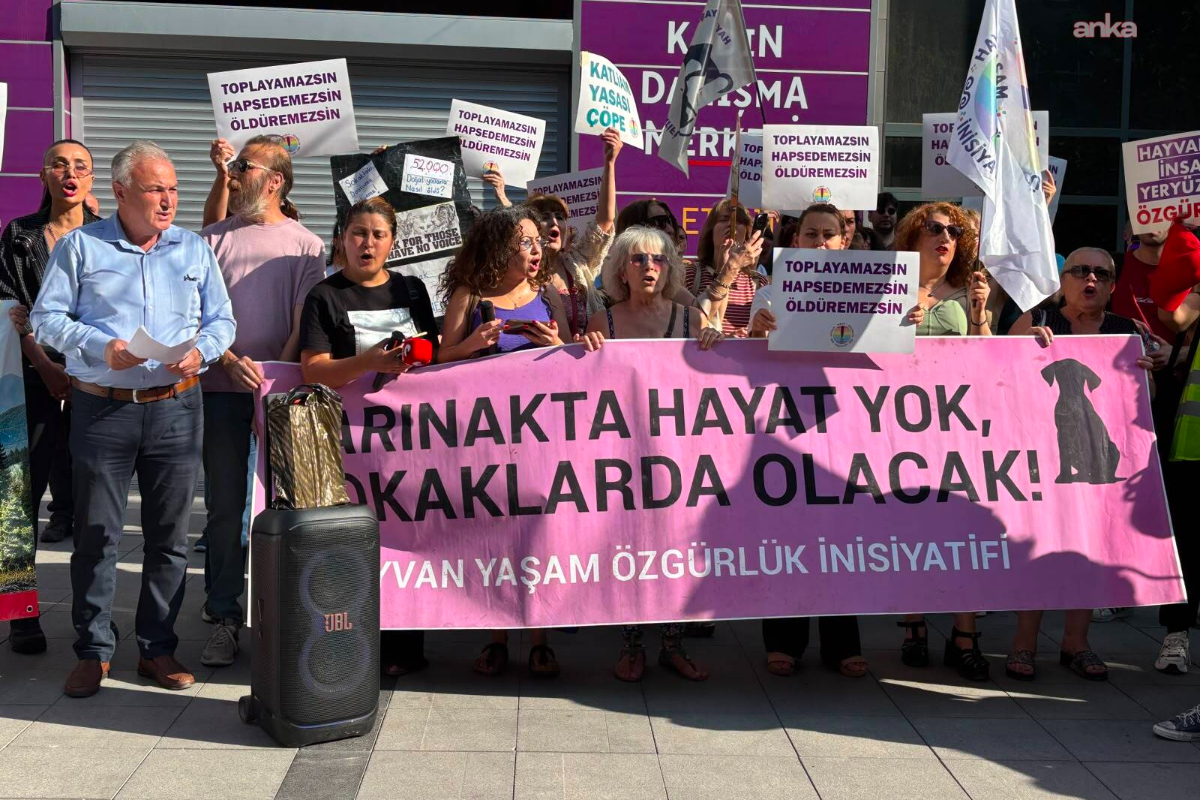 Hayvan hakları savunucularından Ankara'da katliam yasası protestosu: "Yasa iptal edilsin"