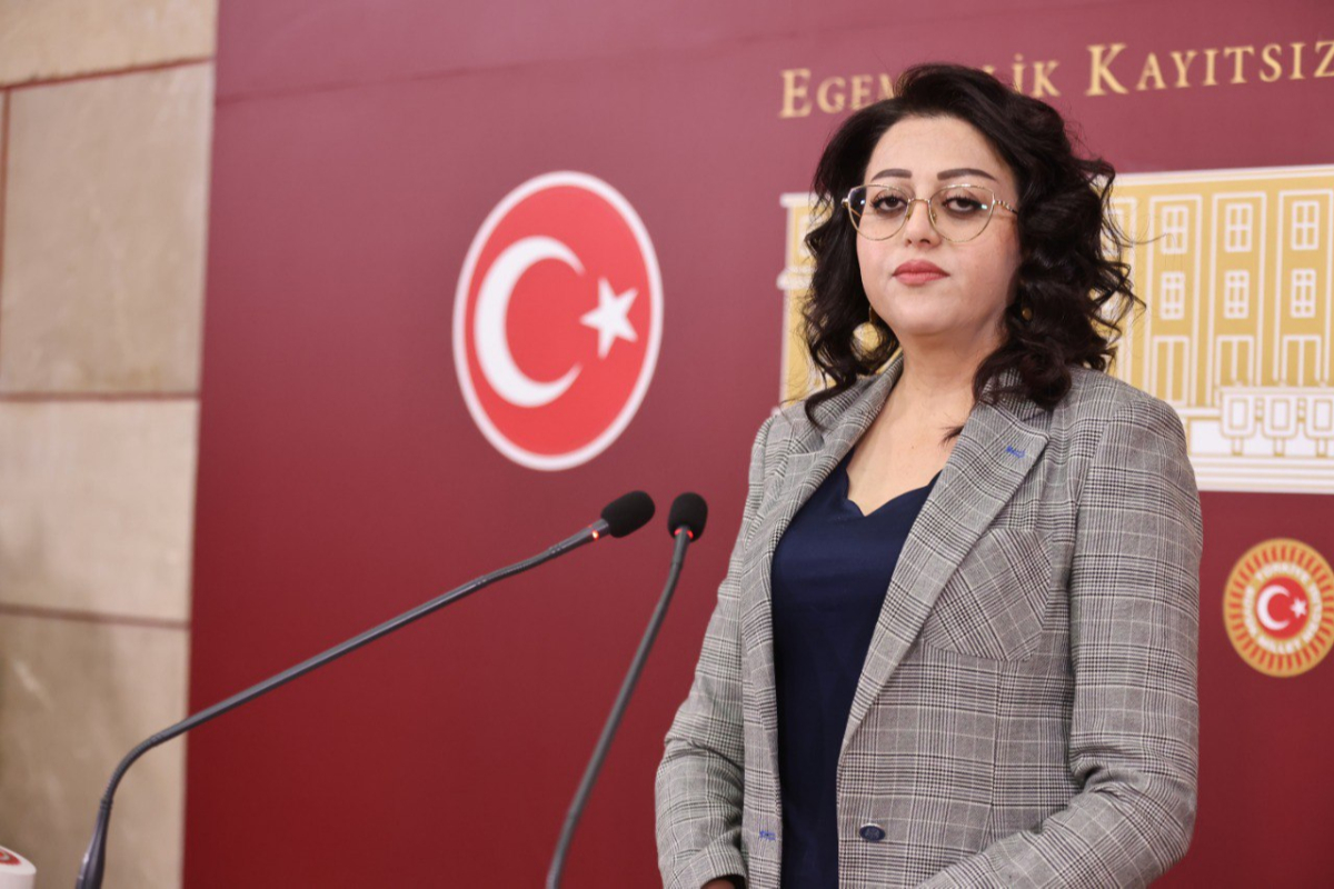 DEM Partili Bartin'den Meclise araştırma önergesi: “Şüpheli ölümler aydınlatılsın”