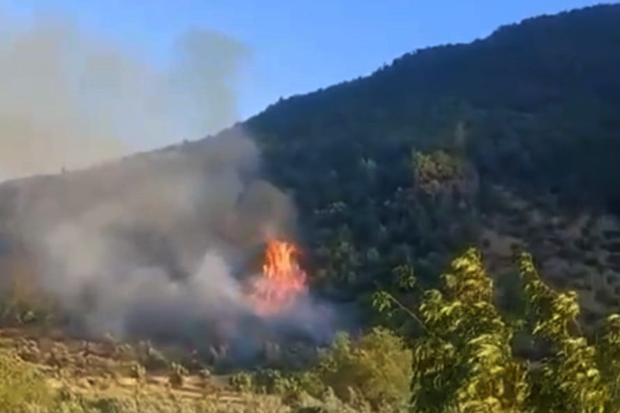 Antep'te orman yangını