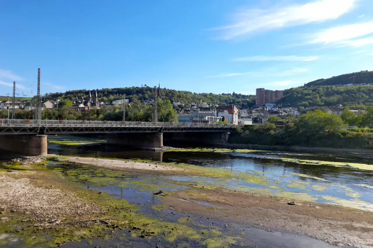 Ren Nehri