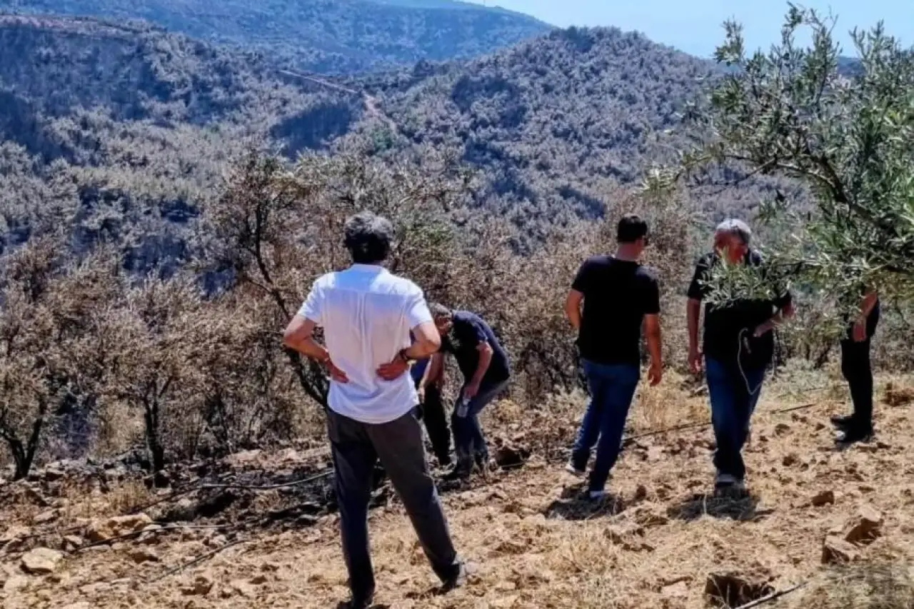Gömeç'te yangın sonrası hasar tespit çalışmalarına başlandı