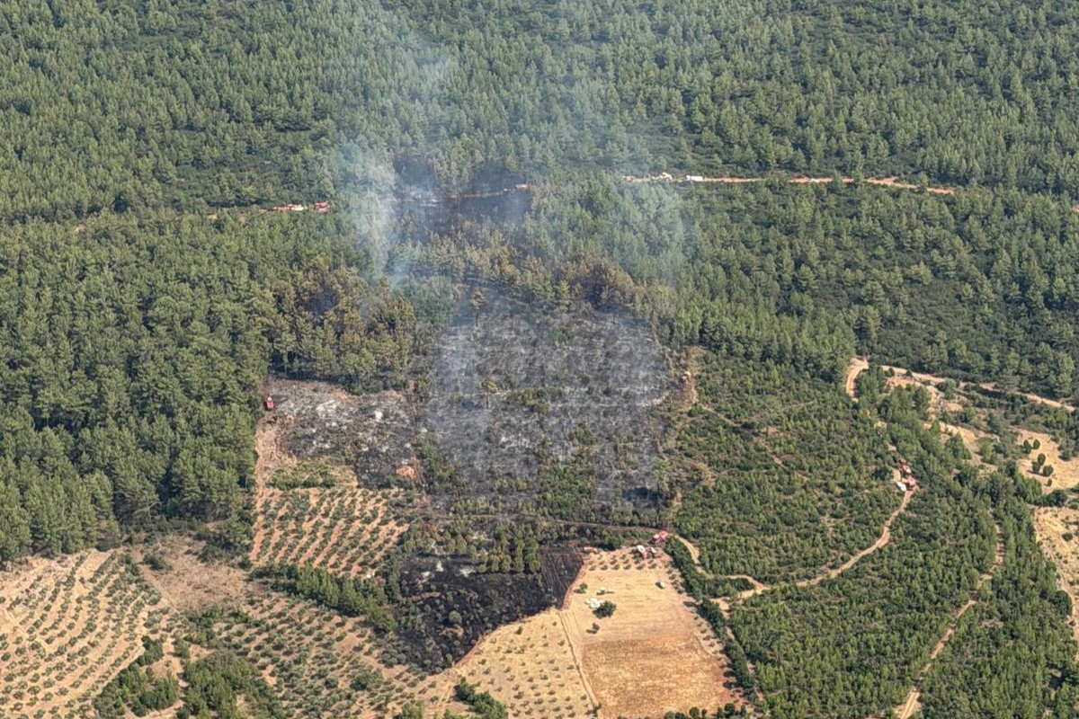 Muğla'daki orman yangını: 2 hektar alan zarar gördü