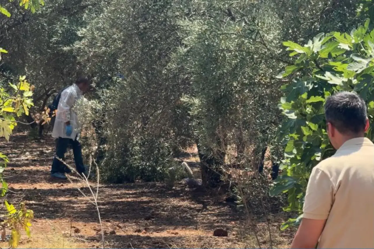 Antalya'da zeytinlik alanda elleri arkadan bağlı olan bir genç ölü olarak bulundu