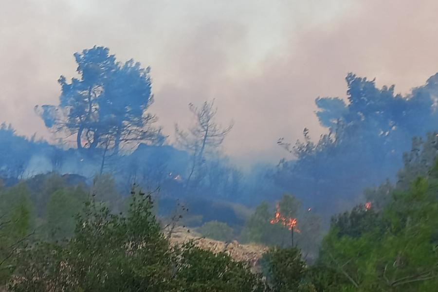 Çanakkale Ezine'de orman yangını: Yangına müdahale ediliyor