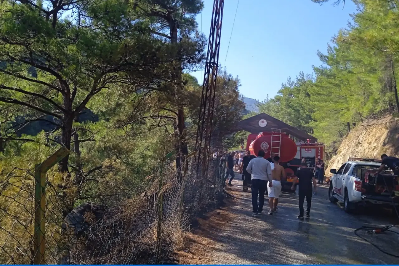 Balıkesir'de dört yerde çıkan yangınlar kontrol altına alındı