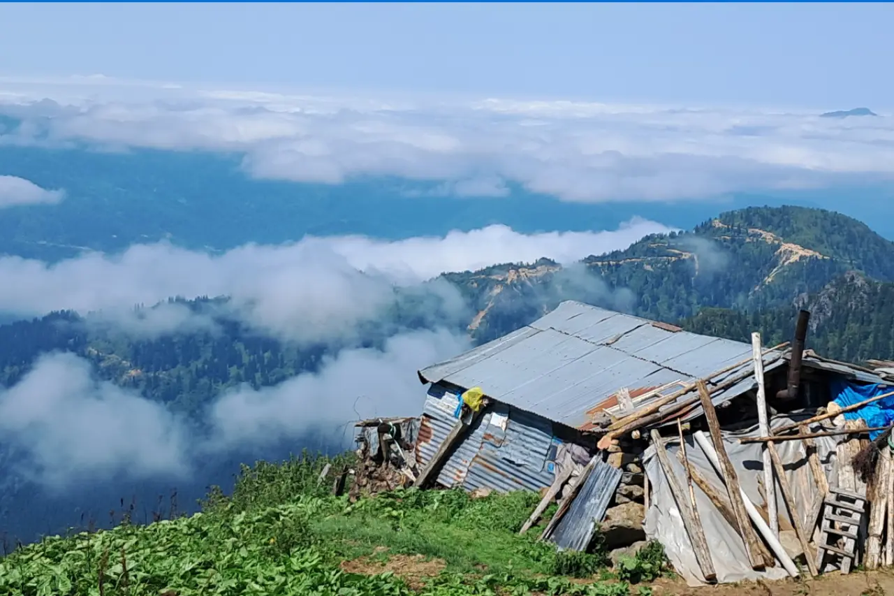 Artvin Murgul'da planlanan madencilik faaliyetlerine tepki: “Meramızda, ormanımızda maden istemiyoruz”