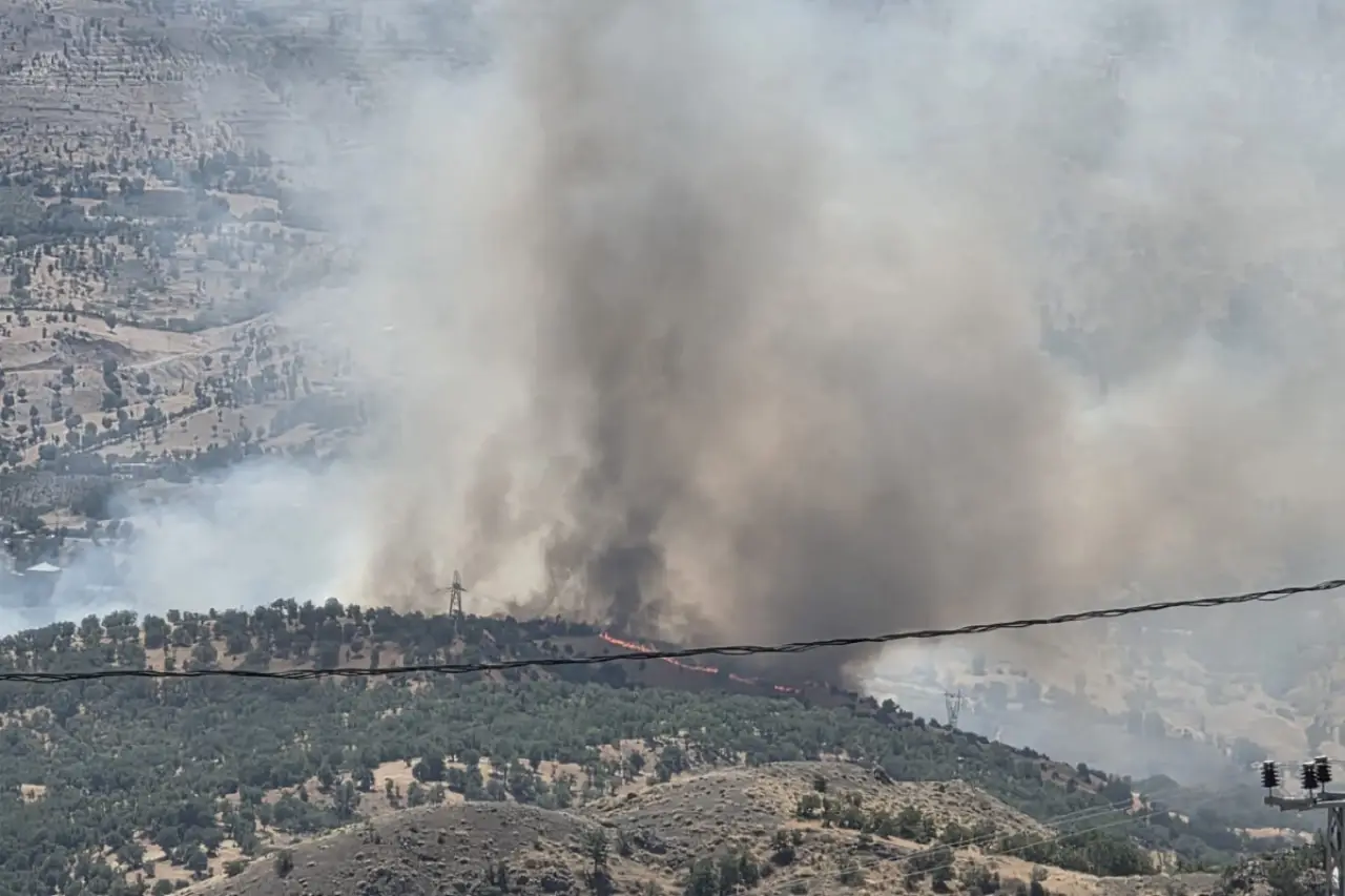Adıyaman'da orman yangını