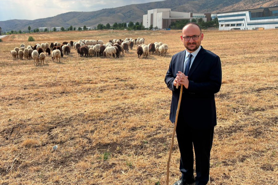 Rektör koyun paylaştı, AKP'den tepki geldi