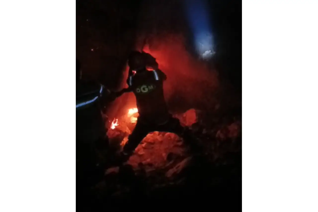 Antalya'daki orman yangını, 14 saat sonra kontrol altına alındı