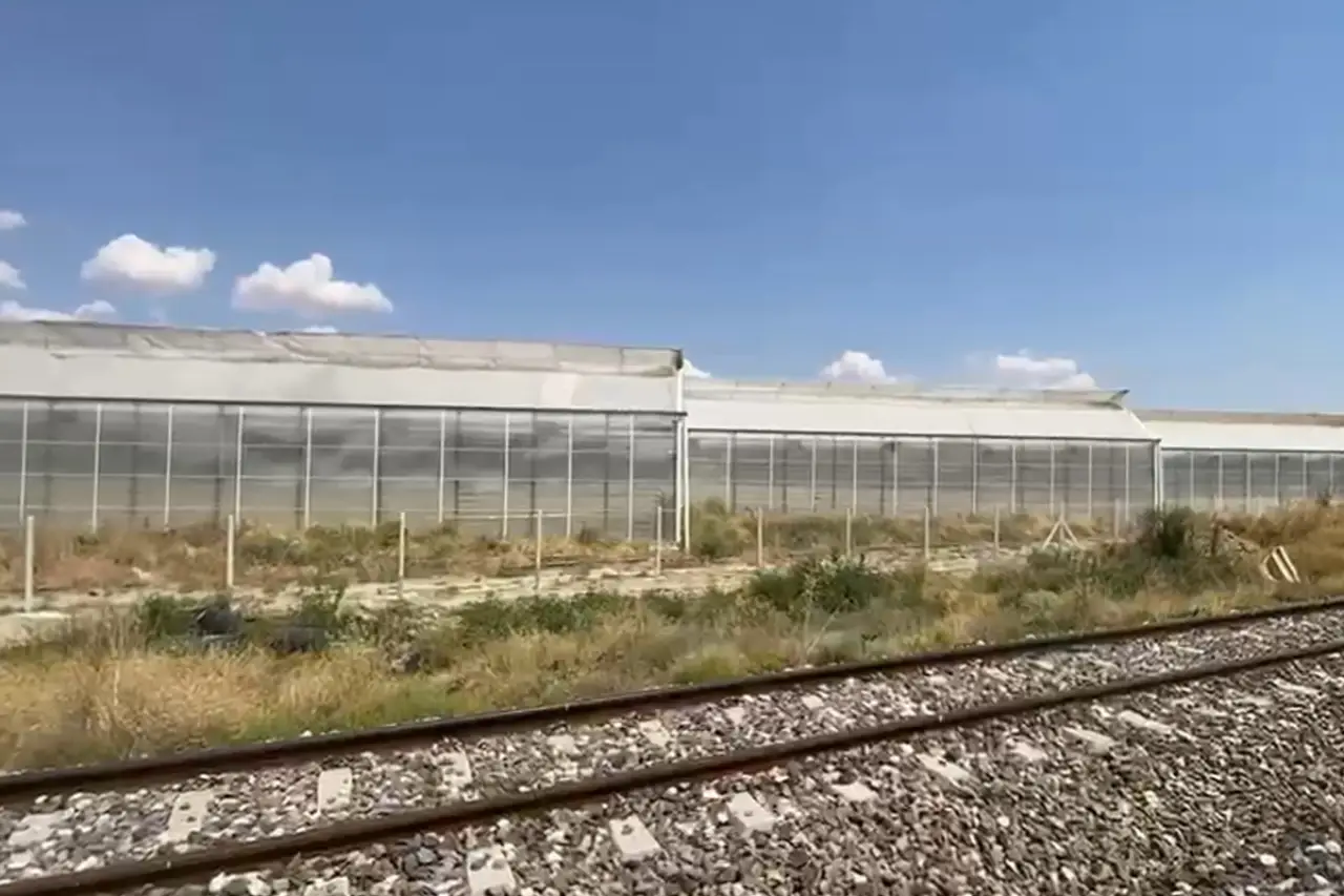 Afyon'da serada tarım ilacından etkilenen 24 işçi hastaneye kaldırıldı: 10 işçinin durumu ağır