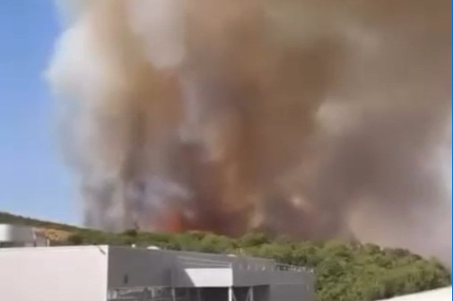 Bursa'da orman yangını