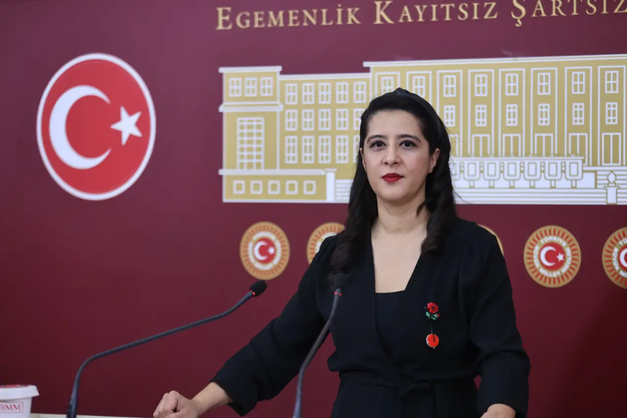 EMEP Milletvekili Sevda Karaca, Madran Dağı yangınını 5 bakanlığa sordu