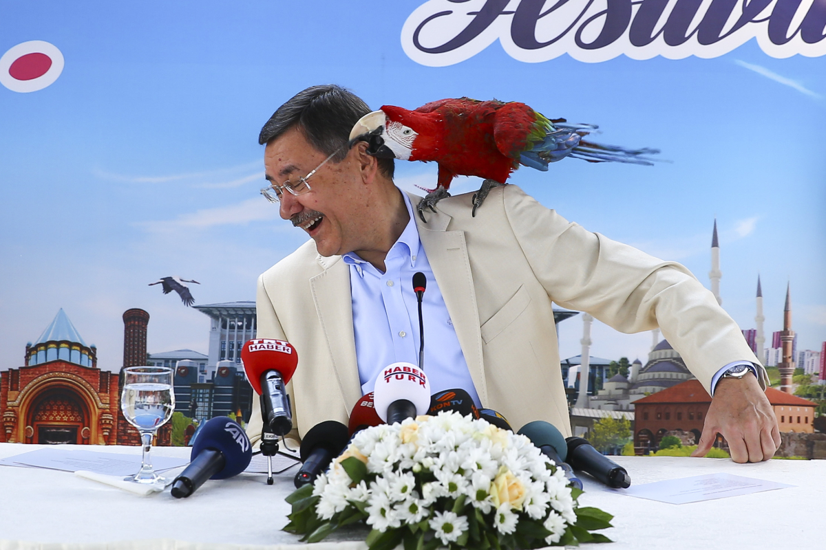 Araziler, tarlalar, konutlar: Murat Ağırel, Melih Gökçek'e ait taşınmaz kayıtlarını paylaştı