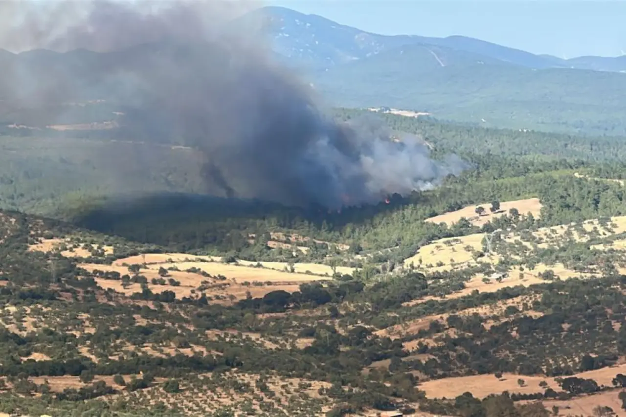 Çanakkale Bayramiç'te orman yangını: Havadan ve karadan müdahale ediliyor