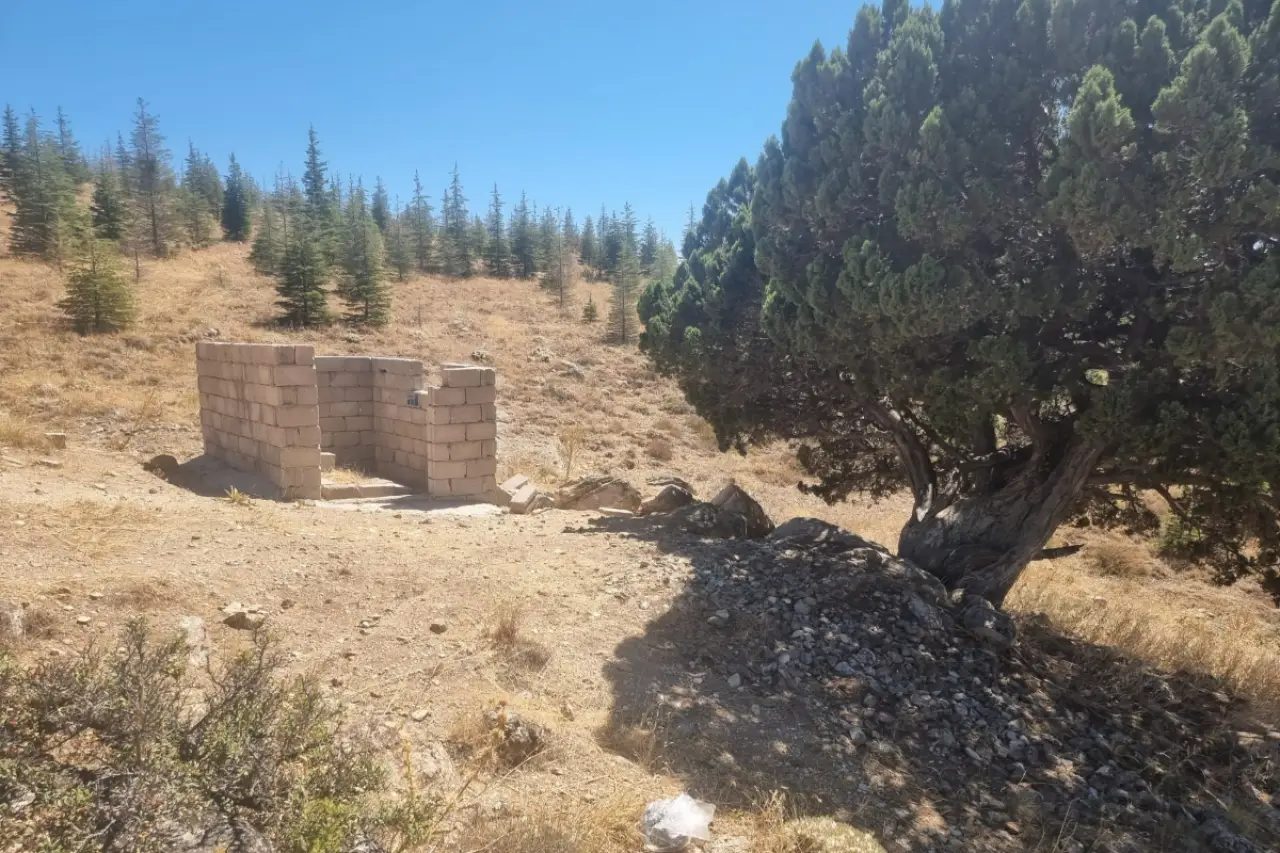 Hırka Dağı'nın 700 yıllık anıt ardıç ağacı kaçak inşaat tehdidi altında